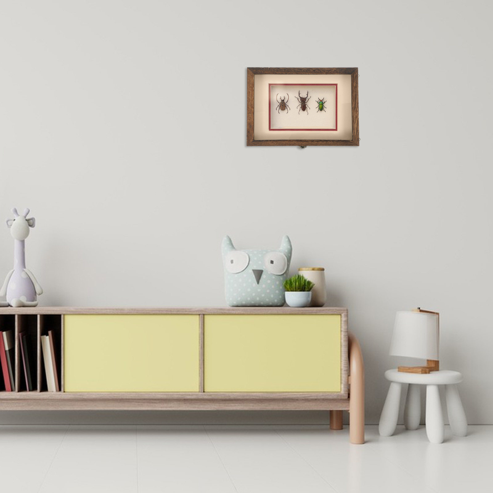 Frame Display Wood - 1 ensemble de boîte de présentation