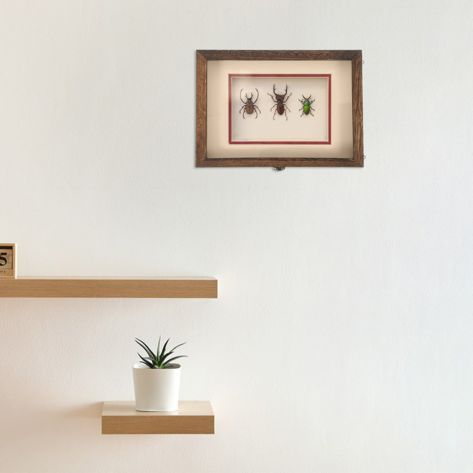 1 ensemble de boîte de présent - Frame Display Wood avis et prix