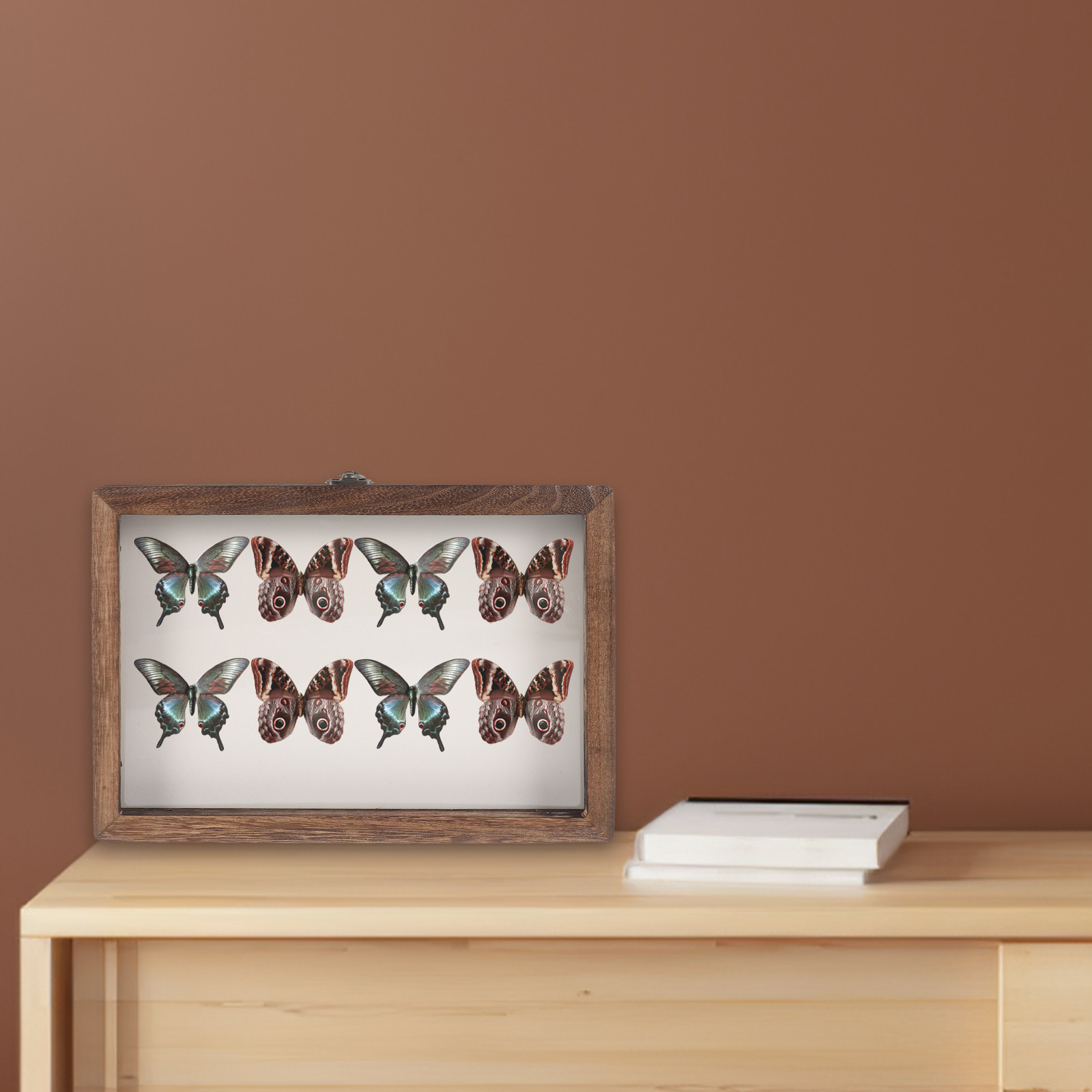 1 ensemble de boîte de présent - Frame Display Wood avis et prix