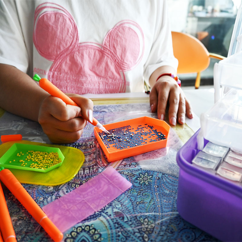 Sac de rangement en plastique  - Embroidery Painting avis et prix
