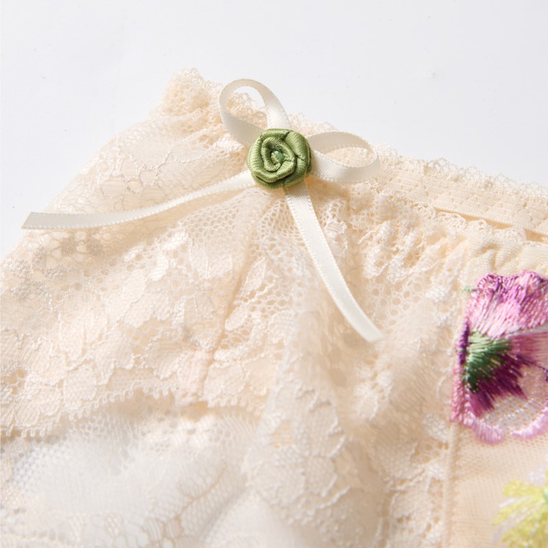 Culotte Sissy en dentelle tran - Embroidery Flower avis et prix